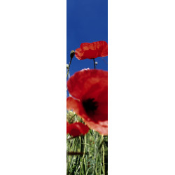 COQUELICOT wall hanging