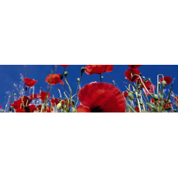 Brise vue COQUELICOT