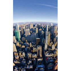 Papier Peint FISHEYE NEW YORK