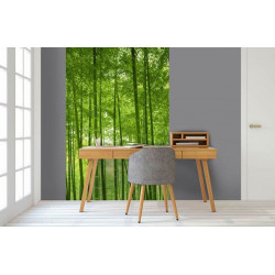 BAMBOO FOREST Poster