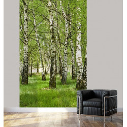 BIRCH FOREST Poster