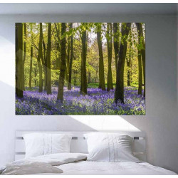 HYACINTH FOREST Poster