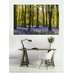 HYACINTH FOREST Poster