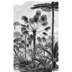 PALM TREE ENGRAVING Poster