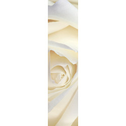 WHITE ROSE privacy screen