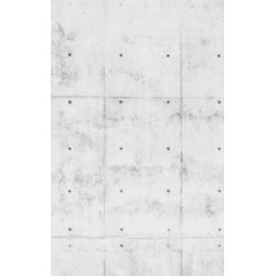 CONCRETE WALL Poster