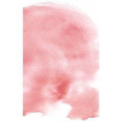 Papier Peint NUAGE ROSE