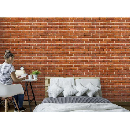 RED BRICKS Poster