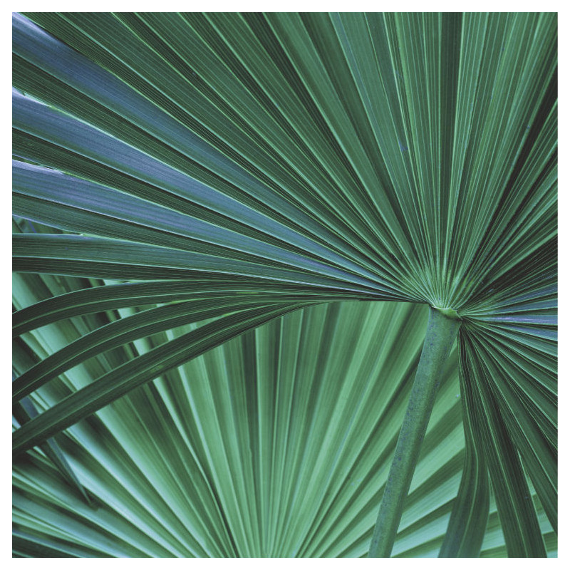 Tableau ABSTRACT GREEN - Tableau jungle