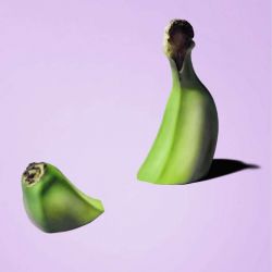 GREEN BANANA canvas print