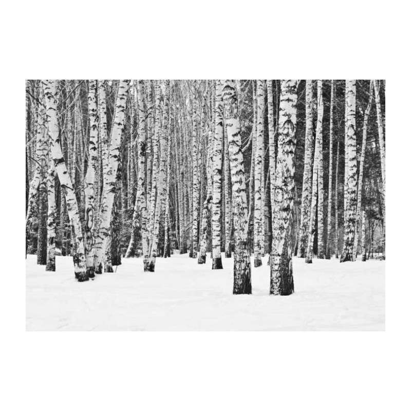 BLACK AND WHITE FOREST Canvas print - Scandinavian