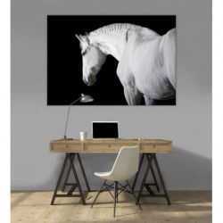 BLACK AND WHITE HORSE canvas print