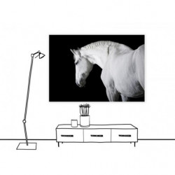 BLACK AND WHITE HORSE canvas print