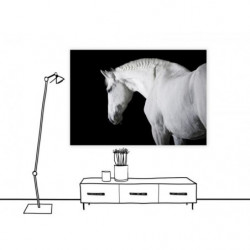Tableau BLACK AND WHITE HORSE