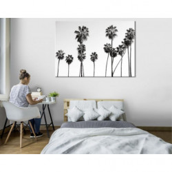 BLACK AND WHITE PALM Canvas print