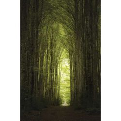 CHEMIN canvas print