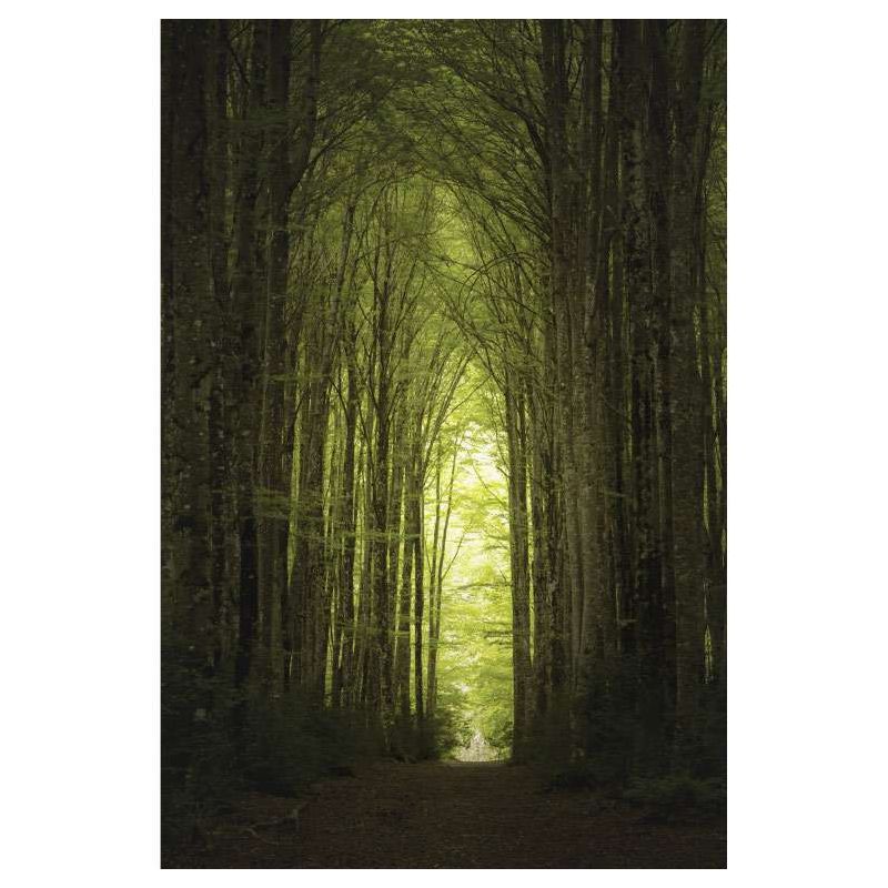 CHEMIN canvas print - Nature landscape