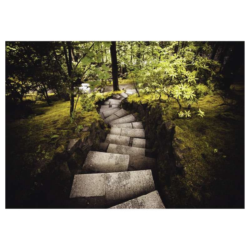 STEPS canvas print - Nature landscape