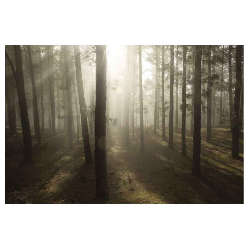 AGAINST THE DAY canvas print - Forest canvas print