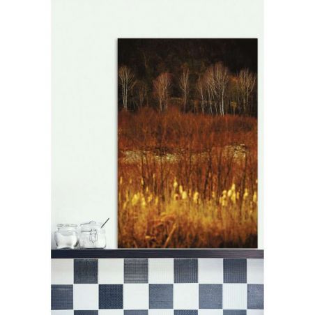 BIRCH PRINT canvas print