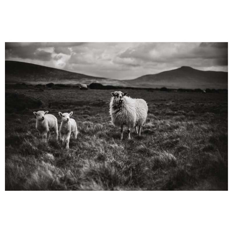 IRELAND WEST COAST canvas print - Black white canvas print