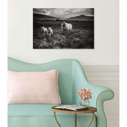 IRELAND WEST COAST canvas print