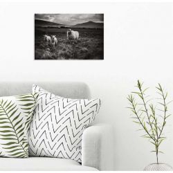 IRELAND WEST COAST canvas print