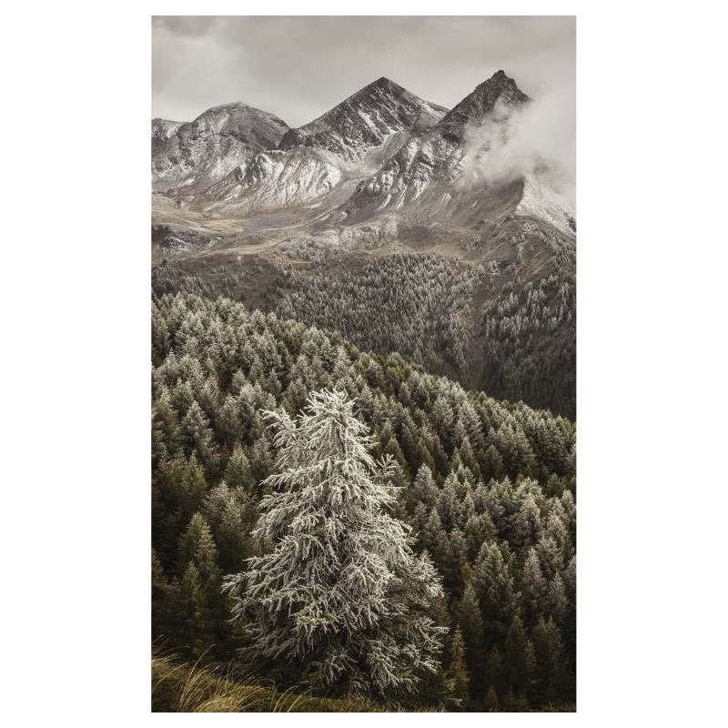 HIGH VALLEY OF THE CERVEYRETTE wall hanging - Nature landscape wall hanging tapestry