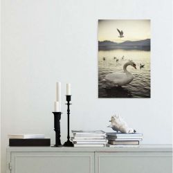 ANNECY CYGNE canvas print