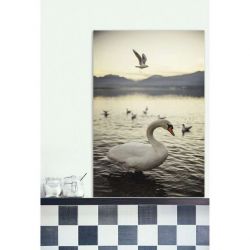 ANNECY CYGNE canvas print