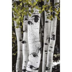 ASPEN USA canvas print