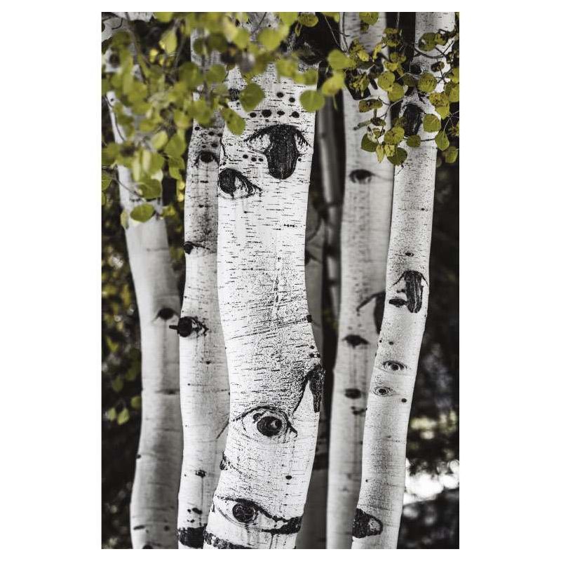 ASPEN USA canvas print - Nature landscape