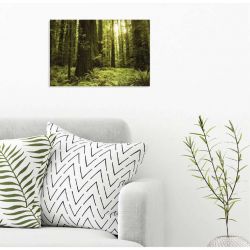 GIANT SEQUOIA USA canvas print