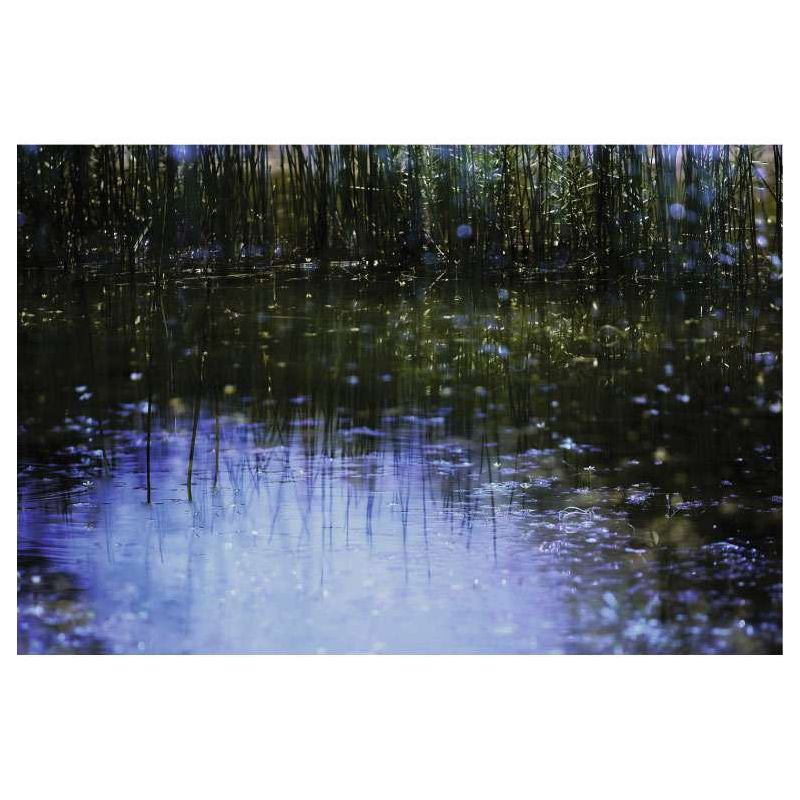 ABSTRACT canvas print - Nature landscape