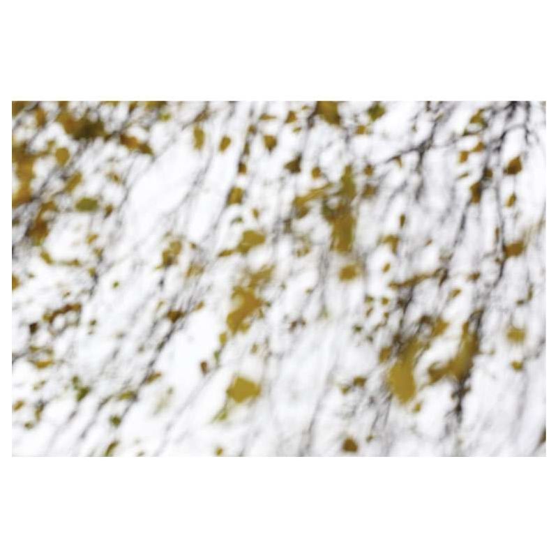 BLUR canvas print - Nature landscape