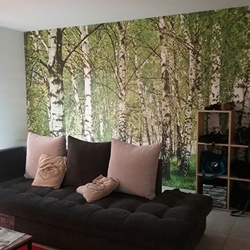 Virginie's birch forest wallpaper