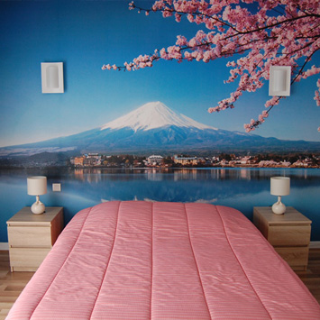 Papier peint Mont Fuji chez Claude