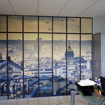 Paris roofs wallpaper in an office