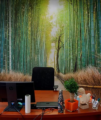 Poster panoramique bambou dans le bureau d'Ahna