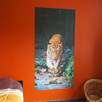 Poster tigre chez Aude