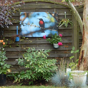 Tableau oiseau extérieur