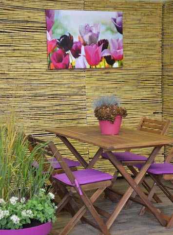 Tableau tulipe coloré chez Sophie