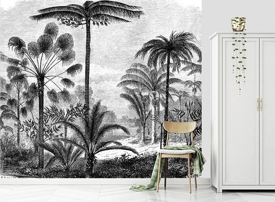 gravure palmier papier peint deco salon