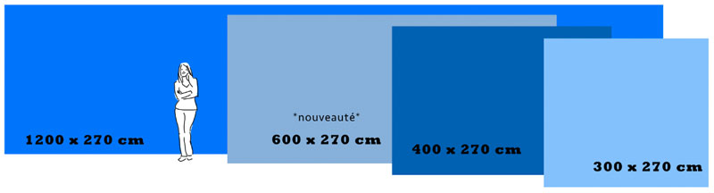Formats panoramiques