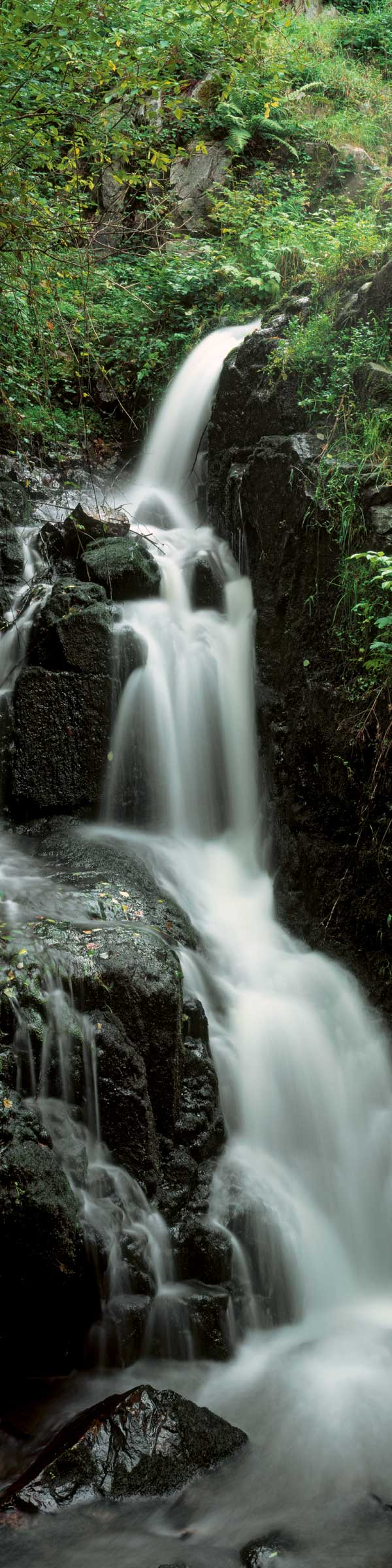 Déco hall d'accueil cascade
