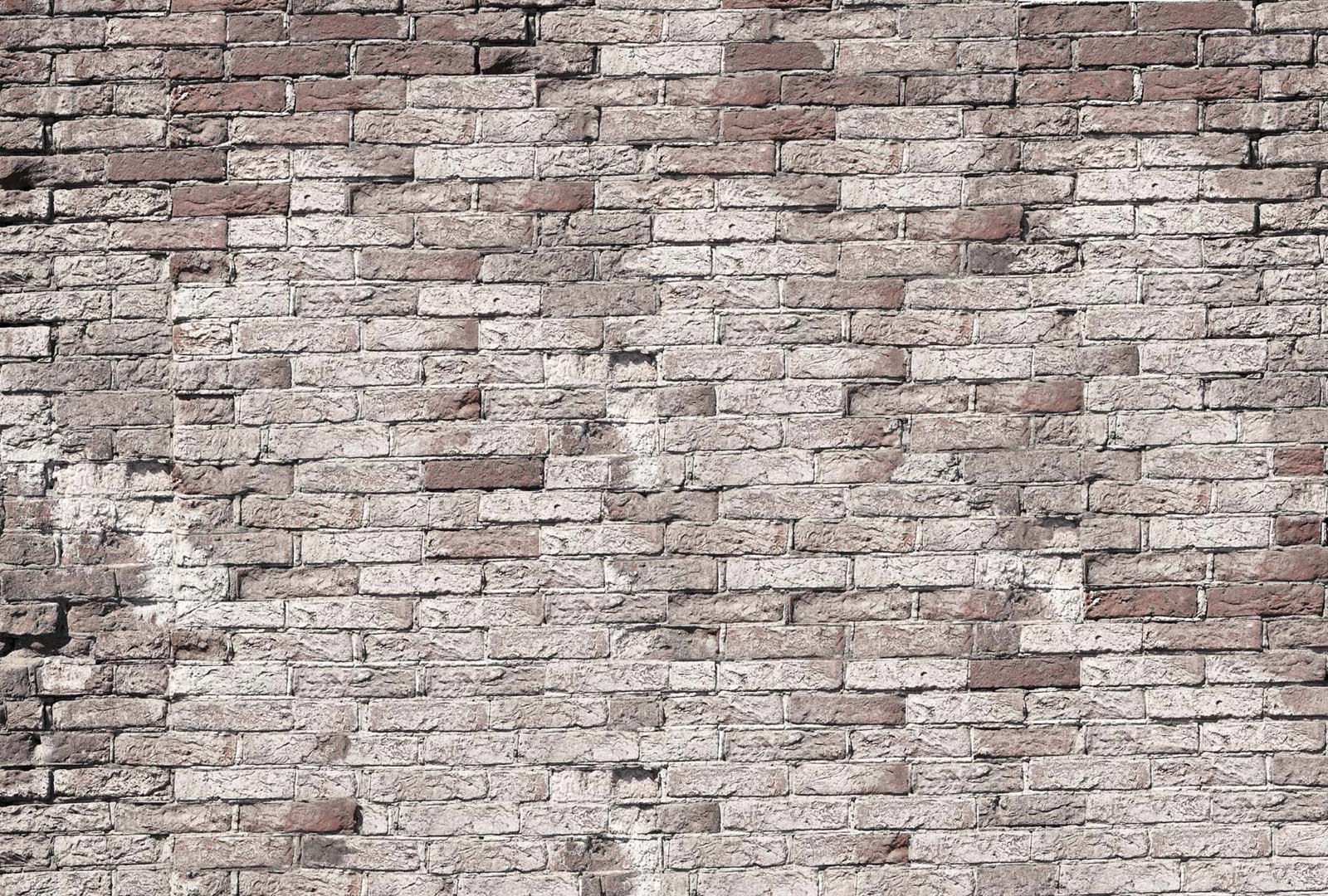 Déco mur de briques dans une salle d'attente