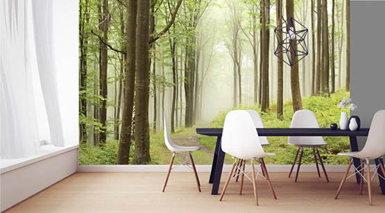 Forêt mystérieuse