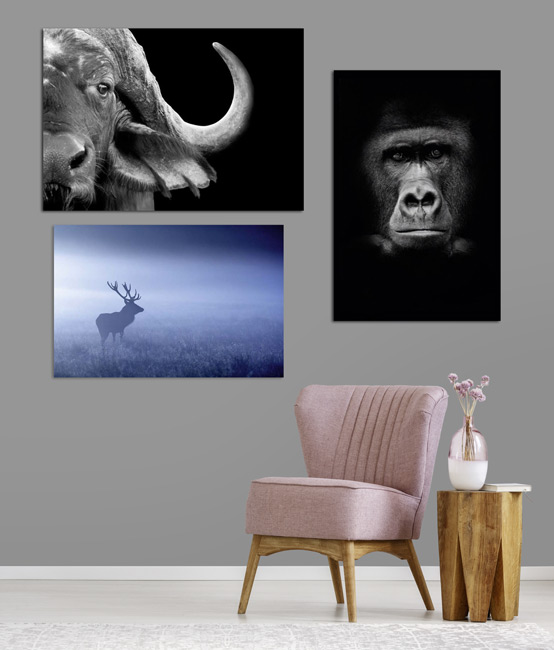 Our wall decorations Wildlife
