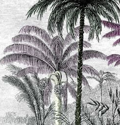 Engraved, coloured wallpaper with palm tree print
