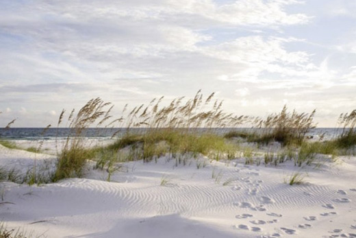 Beach and sand dune decoration canvas print